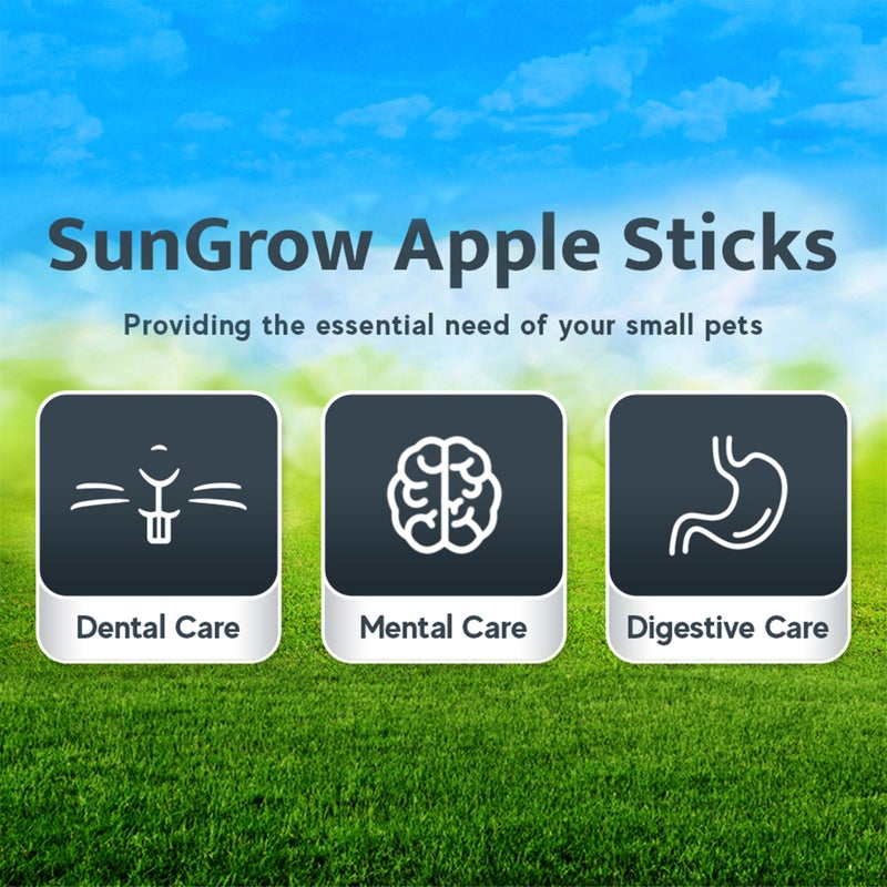 SunGrow Apple Sticks, Wood Chew Sticks for Rabbits, Chinchillas, Bunny, Hamster, Squirrel, Guinea Pigs, Small Animals Molar Pet Chew Toys Treat for Teeth Grinding 200g (7 oz) - Image 3